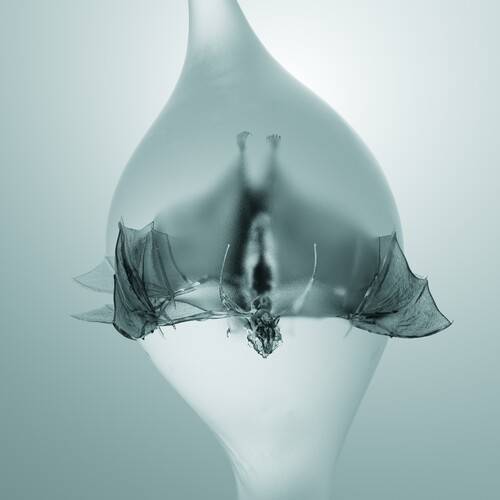 Unprocessed - Angel vinyl record cover