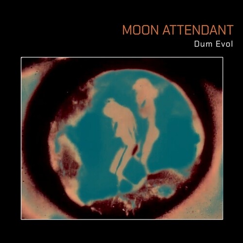 Moon Attendant - Dum Evol vinyl record cover