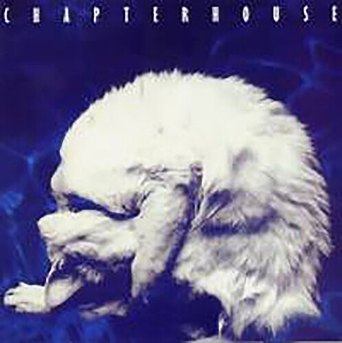 Chapterhouse - Whirlpool [Import]