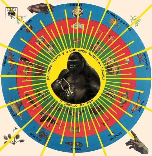 Pedro Santos - Krishnanda vinyl record cover