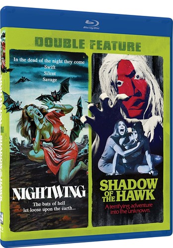 Nightwing /  Shadow of the Hawk