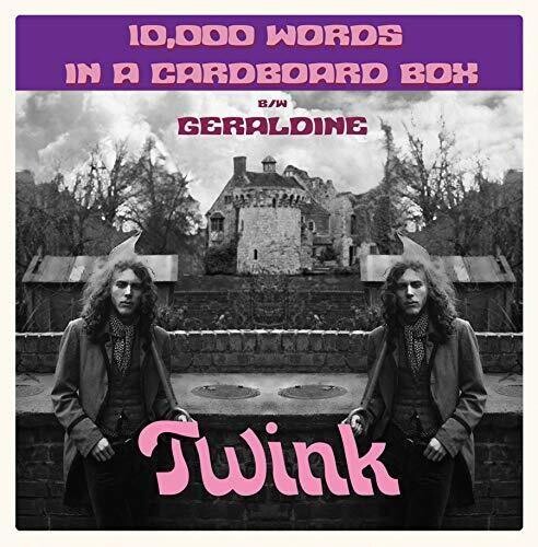 Twink - 10,000 Words In A Cardboard Box