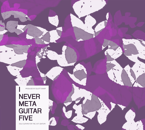 Presents I Never Metaguitar 5