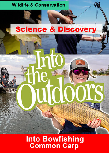 INTO BOWFISHING - COMMON CARP