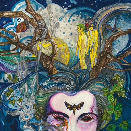 PICTURES IN A DREAM