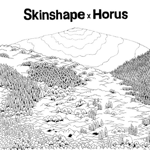 Skinshape X Horus - Skinshape X Horus vinyl record cover