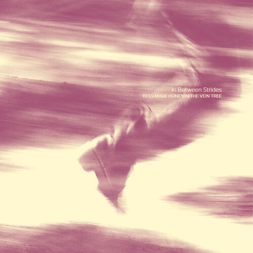 Bees Made Honey in the Vein Tree - In Between Strides vinyl record cover