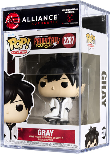FAIRY TAIL: 100 YEARS QUEST GRAY