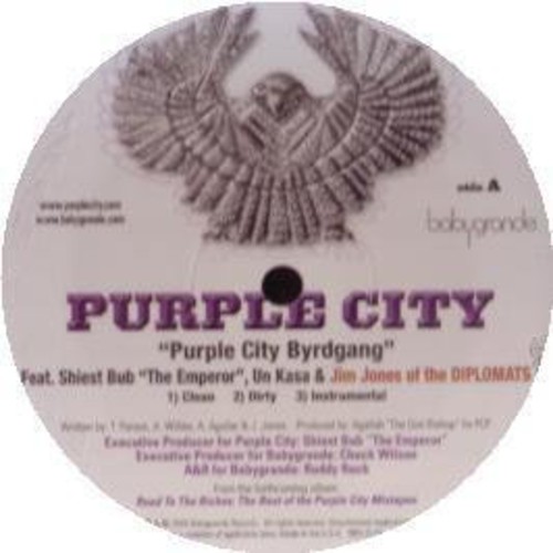 Purple City Byrdgang /  It Ain't Easy