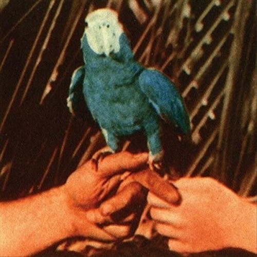 Andrew Bird - Are You Serious [Deluxe Edition Vinyl + 7 Inch]