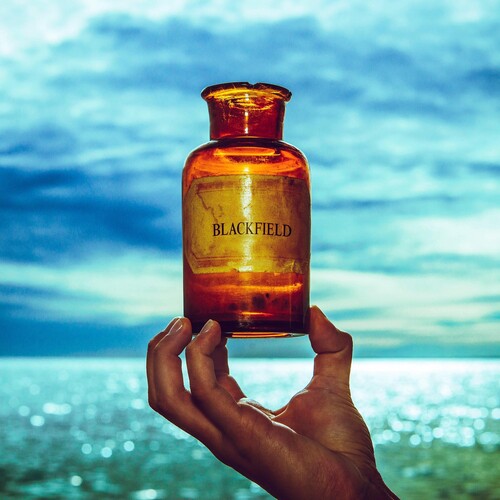 Blackfield - Blackfield V vinyl record cover