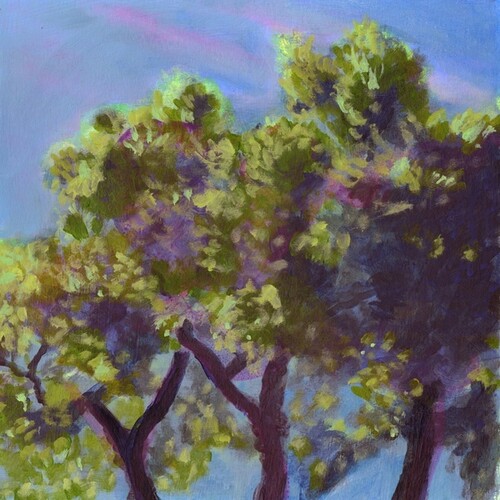 Eli Winter - The Time To Come