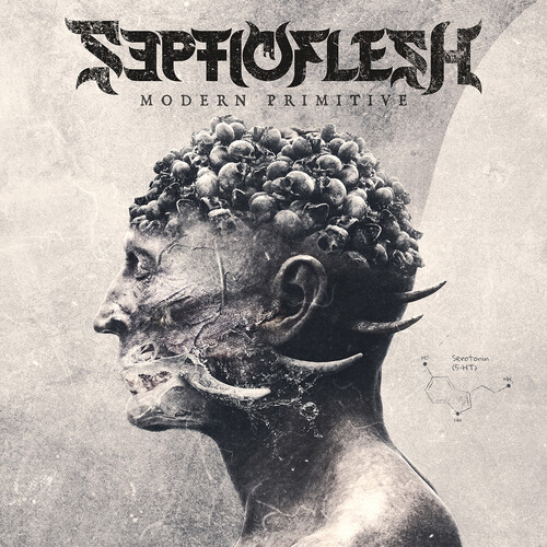 Modern Primitive - LP Boxset