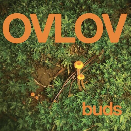 Ovlov - Buds [Colored Vinyl] (Org) [Indie Exclusive]