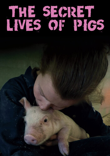 The Secret Lives of Pigs - The Secret Lives of Pigs