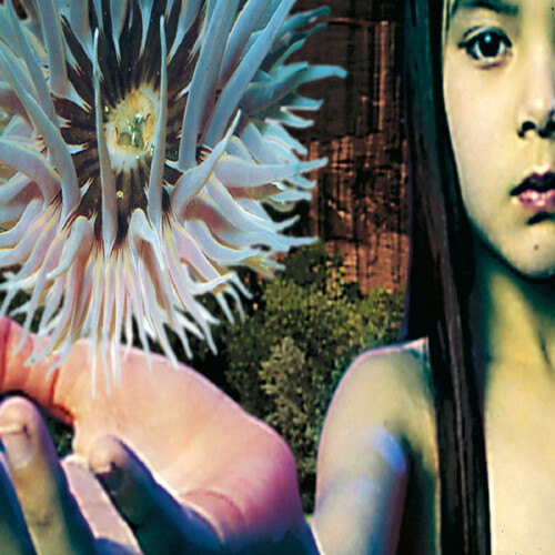 Lifeforms [Import]