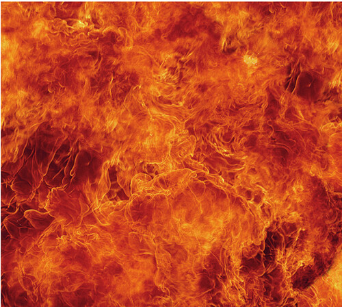 Chromatic Lightning Cage