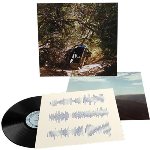 Possession|Ty Segall