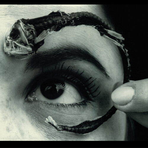 Mr Bungle - Disco Volante (Rktbr25) [Clear Vinyl] (Ltbl) (Bme)