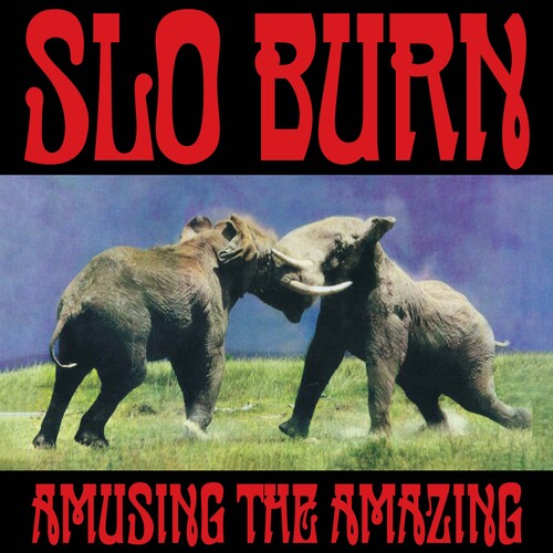 Slo Burn - Amusing The Amazing vinyl record cover