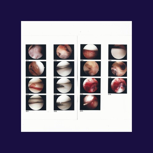 Cradle - Laughing In My Sleep [Download Included]