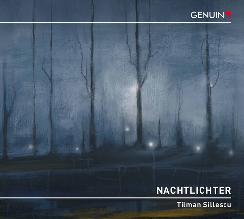 Nachtlichter