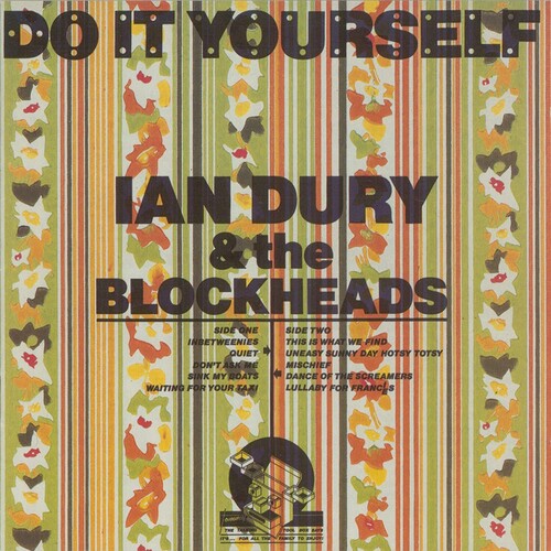 Ian Dury  & The Blockheads - Do It Yourself