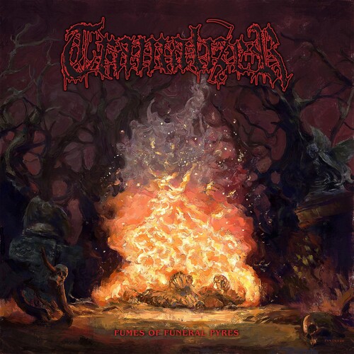 Tramalizer - Fumes Of Funeral Pyres vinyl record cover