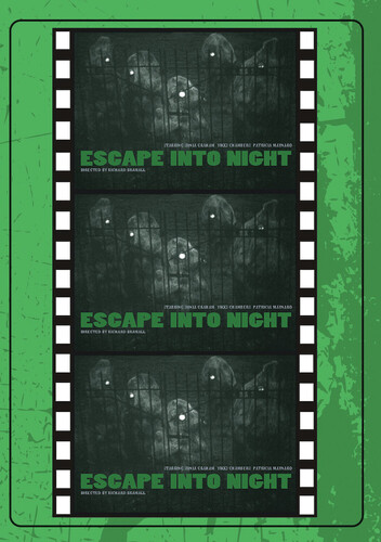 Escape Into Night