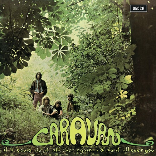 If I Could Do It All Over Again, I'd Do It All Over You - 180gm Vinyl [Import]