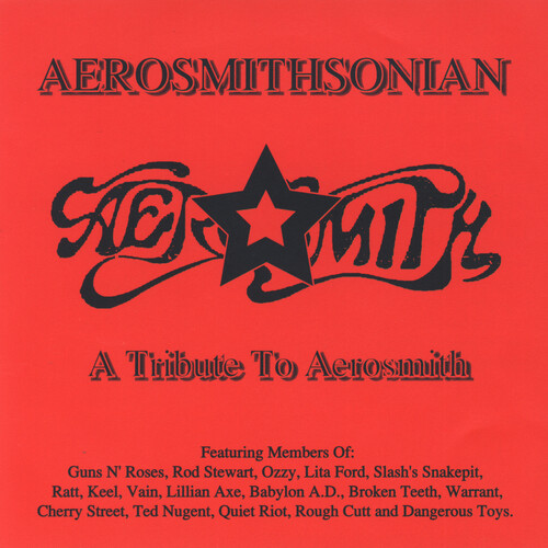 Aerosmith Tribute