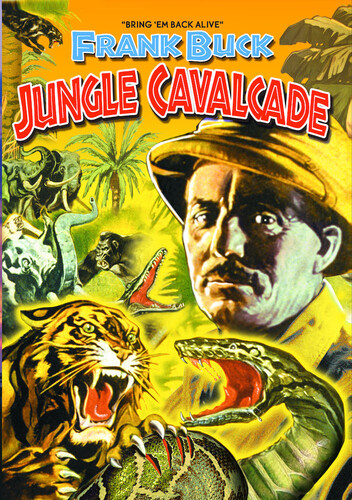 Jungle Cavalcade
