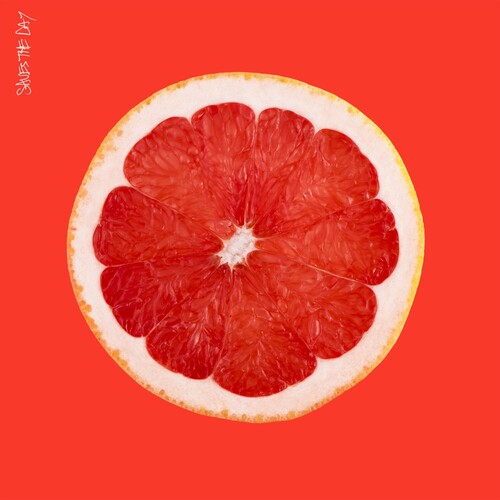 Saves The Day - Saves the Day