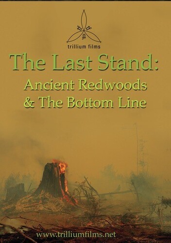 The Last Stand: Ancient Redwoods and the Bottom Line