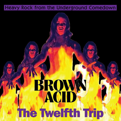 Brown Acid - The Twelfth Trip (Various Artists)