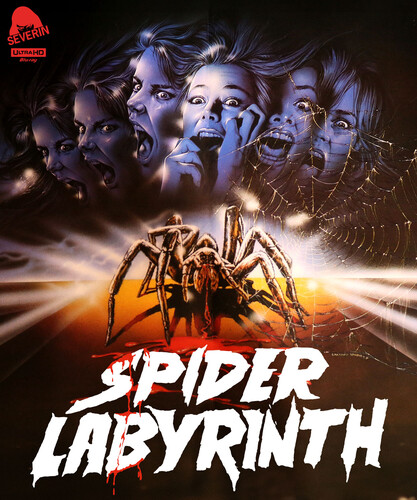 The Spider Labyrinth