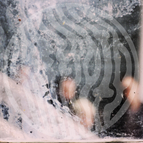 Cemetery Highrise Slum