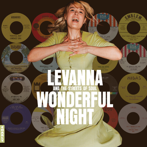 Wonderful Night Curated By Levanna (Various Artists)