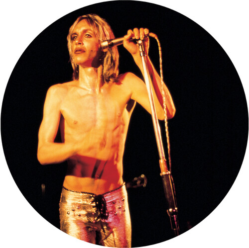 Iggy and The Stooges - More Power - A Gorgeous Picture Disc Vinyl