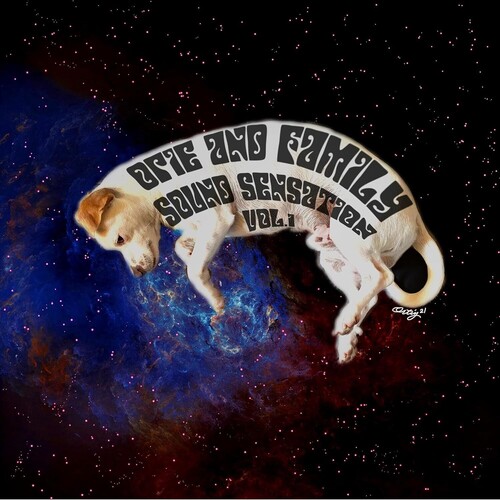 Sound Sensation Vol. 1