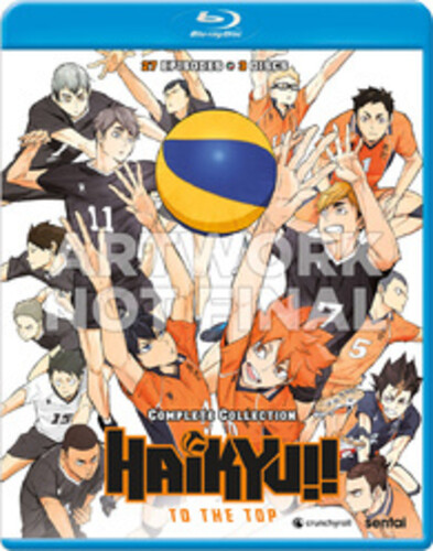 Haikyu!! To the Top (Season 4) Complete Collection