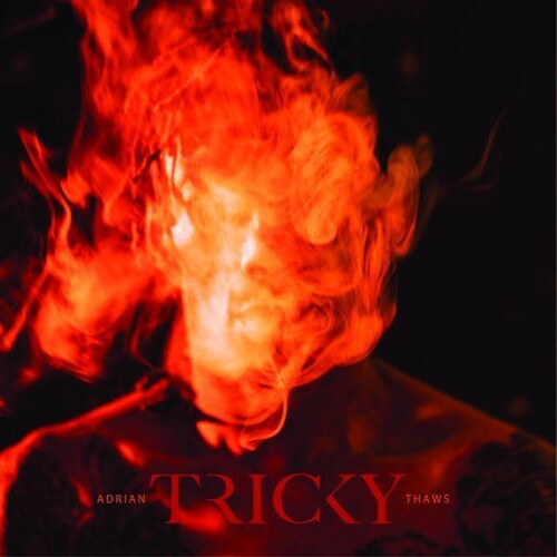 Tricky - Adrian Thaws vinyl record cover