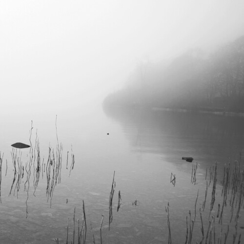 This River Only Brings Poison