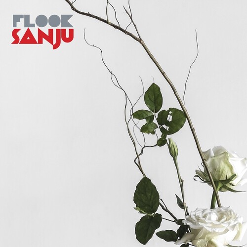 Sanju [Import]