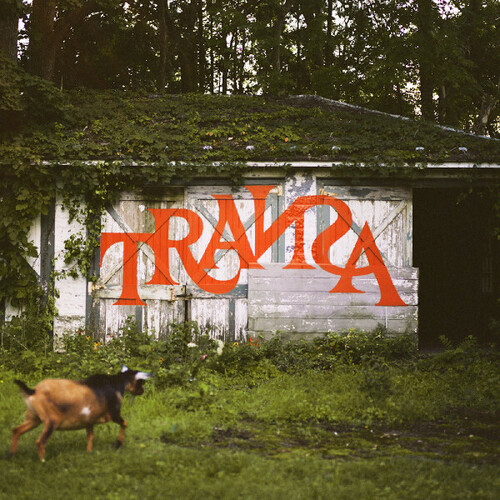 Transa / Various (Dlx) (Can) - Transa / Various vinyl record cover