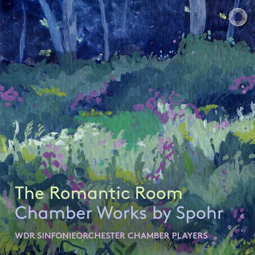 The Romantic Room - Chamber Works by Spohr