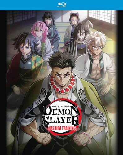 Demon Slayer: Kimetsu no Yaiba: Hashira Training Arc