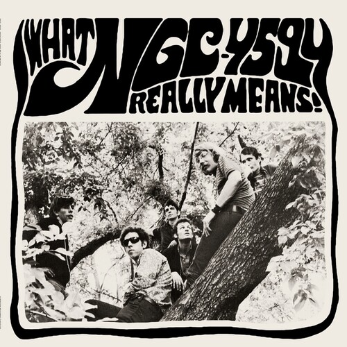 Ngc-4594 - What Ngc-4594 Really Means vinyl record cover