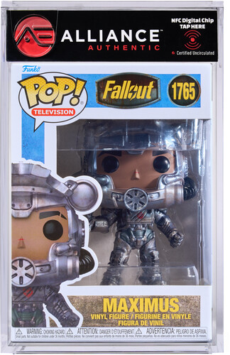 FALLOUT MAXIMUS