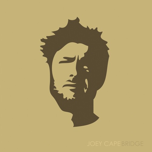 Joey Cape - Bridge [Vinyl]